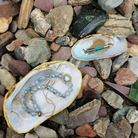 Clamshell Trinket Dish (Set of Two) - Picture 1 of 7